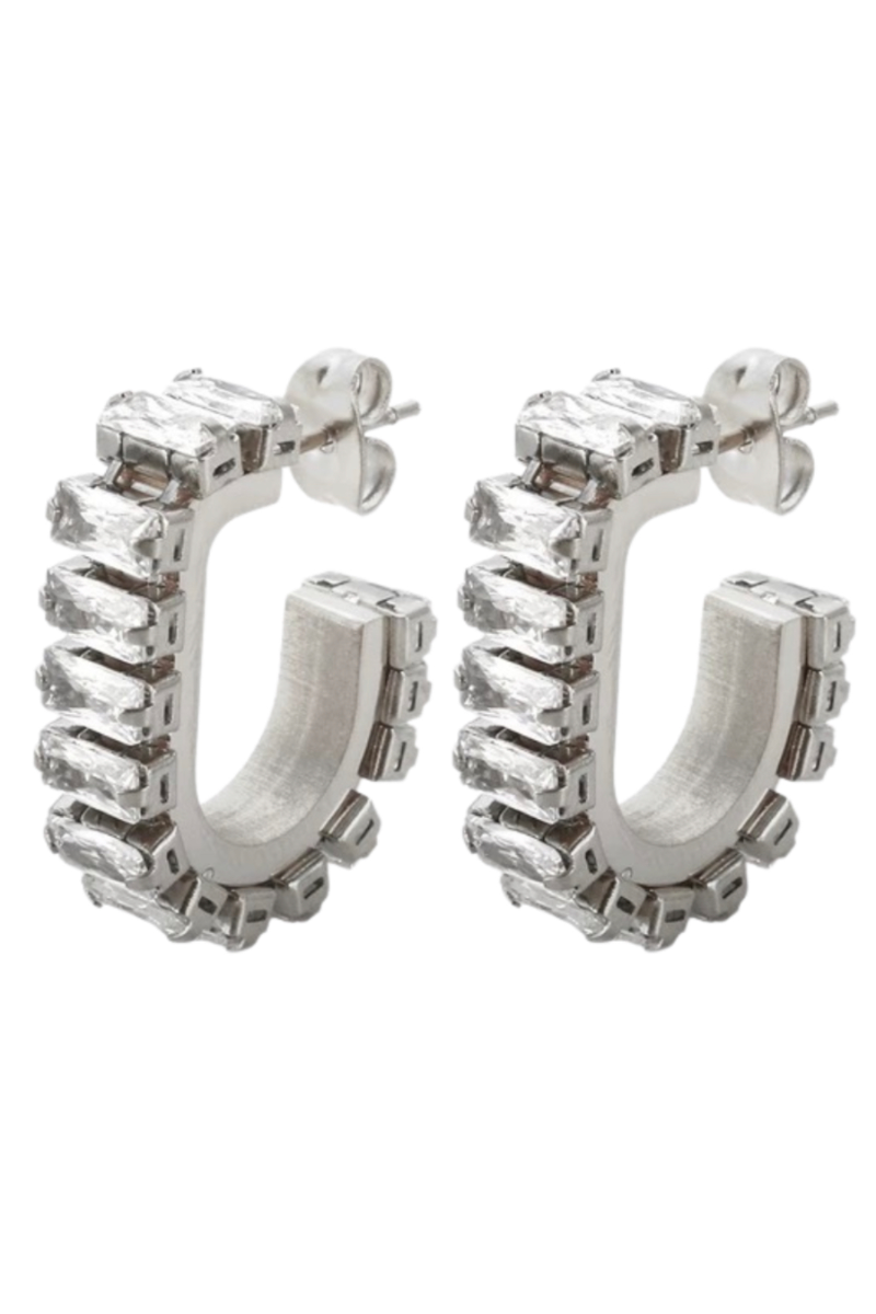 Robyn Drop Earrings: Silver