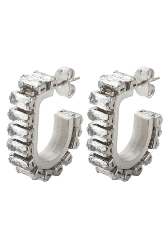 Robyn Drop Earrings: Silver